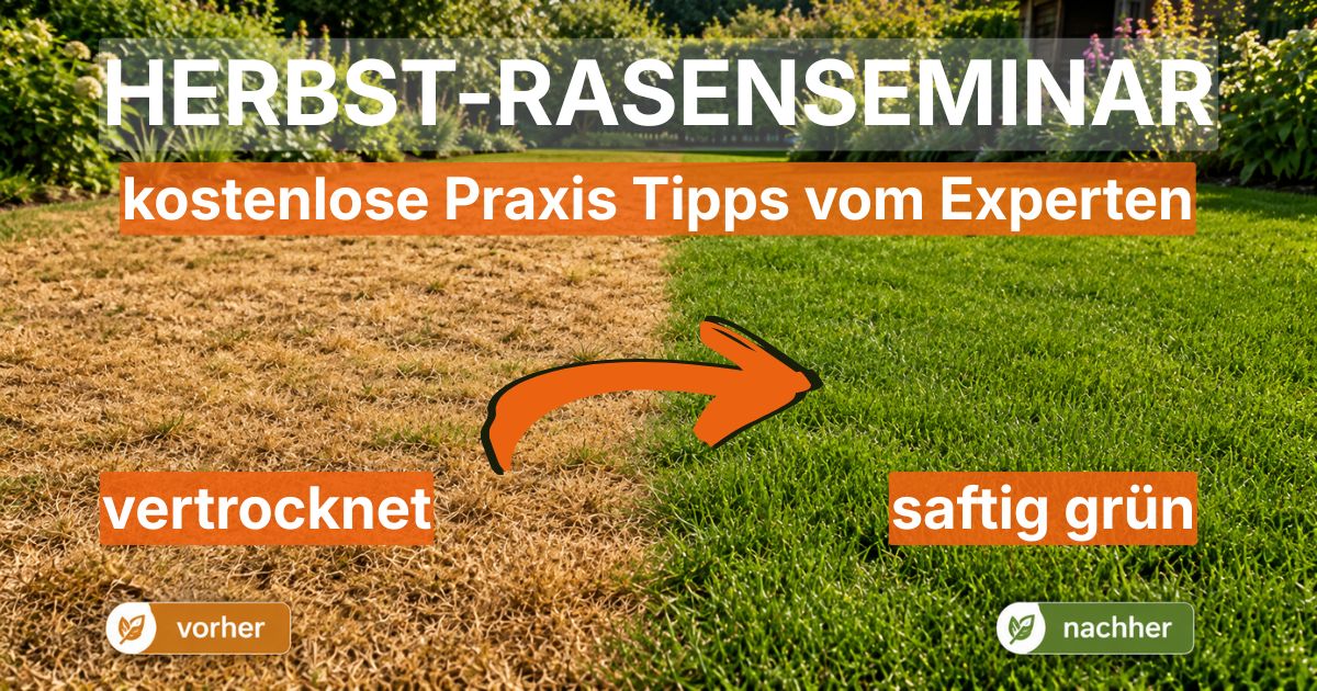 Herbstrasenseminar am 26.09.2026 Herbstrasenseminar am 26.09.2026