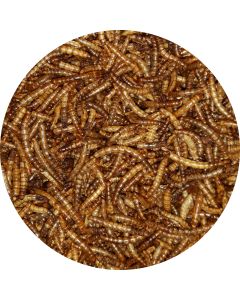 Mehlwuermer-getrocknet-1kg-20181128