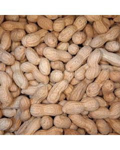 Erdnüsse in der Schale 5kg