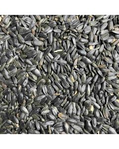 Scheipers Mühle Sonnenblumenkerne schwarz 25 kg