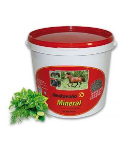 Mineral-Eimer-deukavallo-RBG