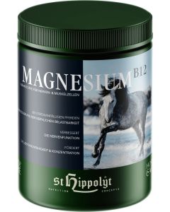 St-Hippolyt-Magnesium-B12-1kg