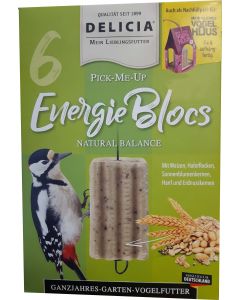 Delicia-Energie-Blocs-20181129