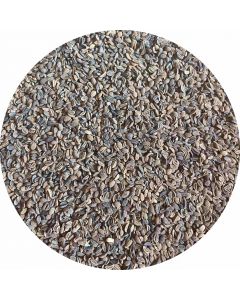 Phacelia Saat Gründünger 1kg