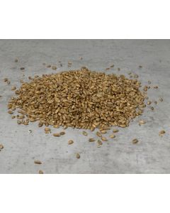 Speiseweizenkörner 1kg