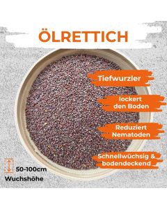 Ölrettich Saat 250g