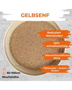 Gelbsenf Saat Gruenduenger 500g