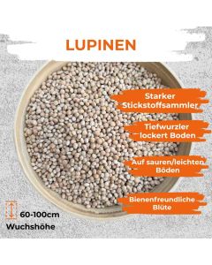 Lupinen Saat Gruenduenger 1kg