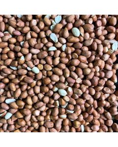 Erdnüsse Redskin 1 kg