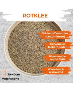 Rotklee 1kg