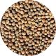 Lupinen Saat Gründünger 500g