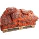 Rote Beete 5 kg