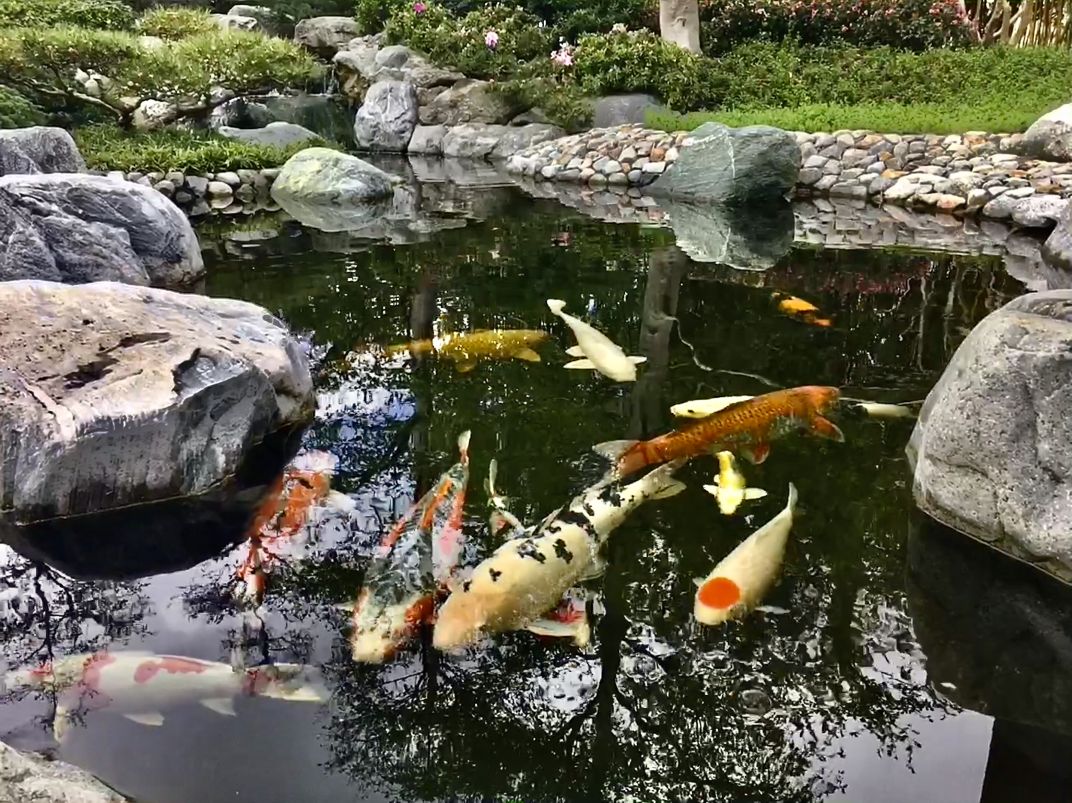 Aquaristik Aquaristik
