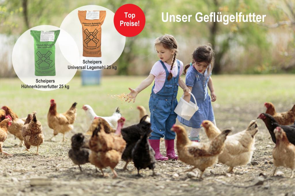 Geflügelfutter Geflügelfutter